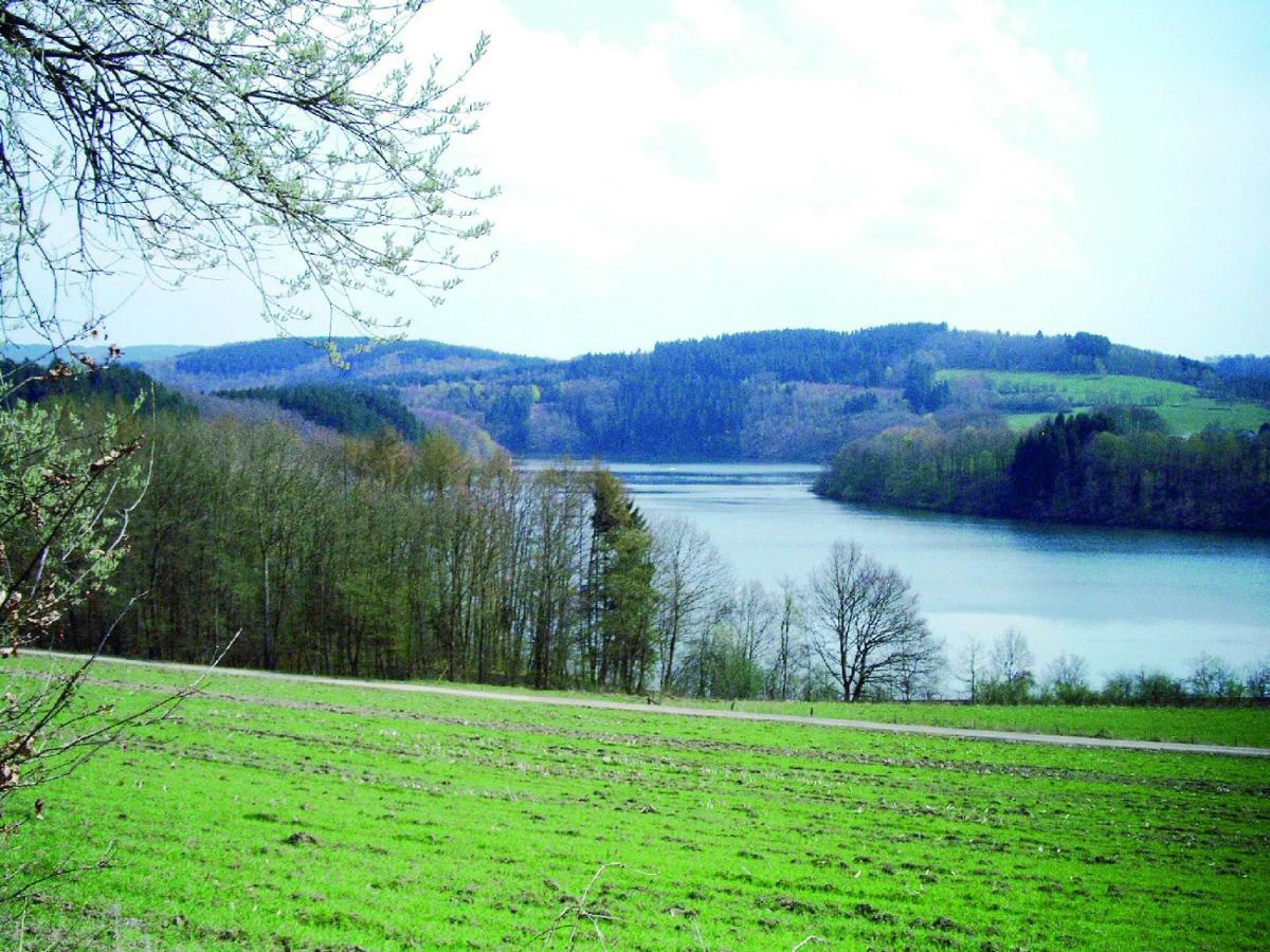 Ferienwohnung Am Sorpesee Allendorf  Bagian luar foto