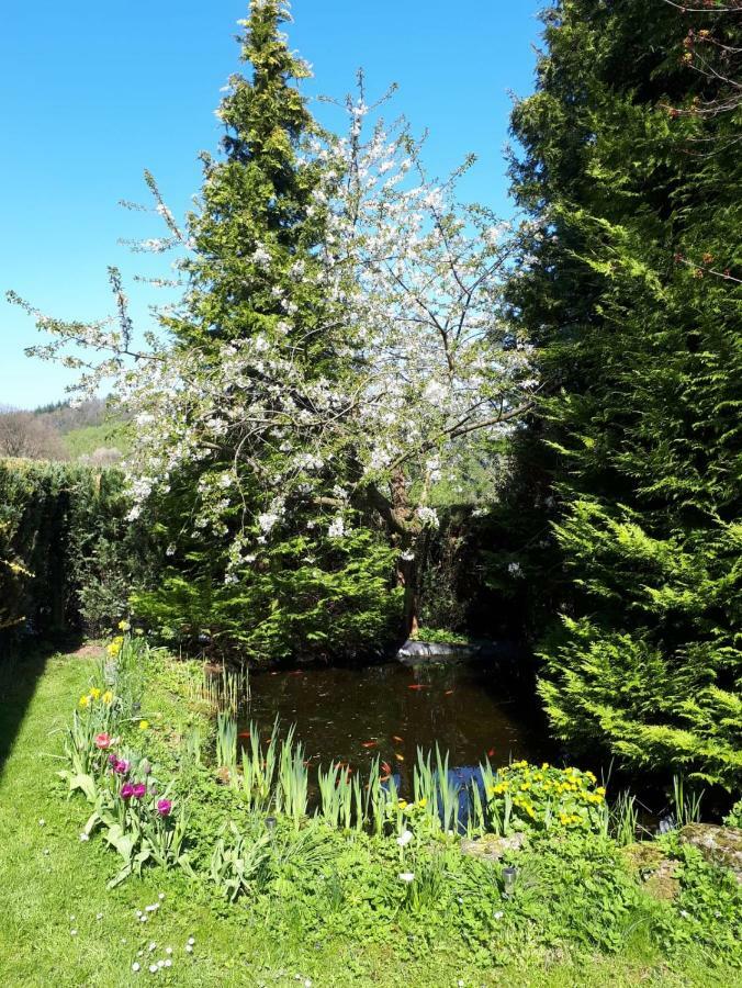 Ferienwohnung Am Sorpesee Allendorf  Bagian luar foto